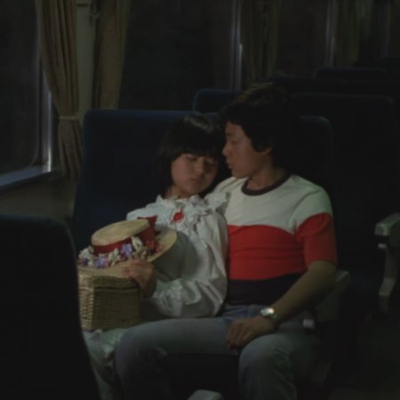 The Terrible Couple (1980)