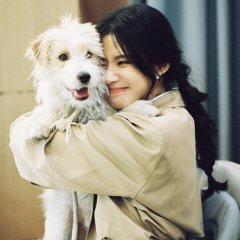 Love between Lines Chinese Drama photo