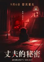 Husband's Secret Chinese Movie(2024) photo