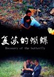 Recovery of the Butterfly