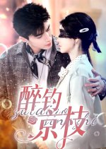 Zui Diao Jing Zhi Chinese Drama photo