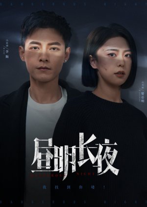 Dangerous Night (2025) poster