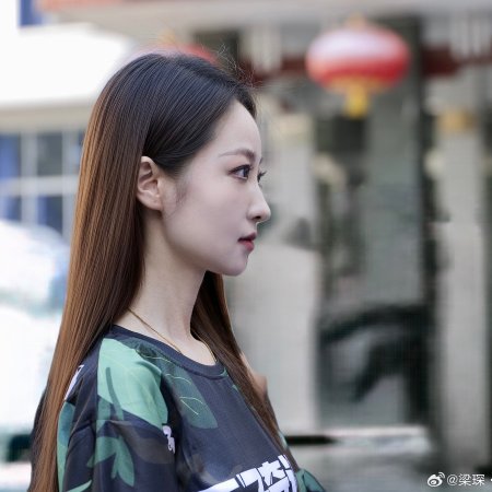Wang Zi Qi Yu Ji ()