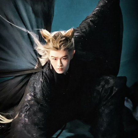 Veil of Shadows ()