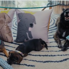 To the Moon and Back Thai Drama photo