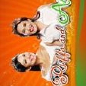 Ruffa & Ai (2009)