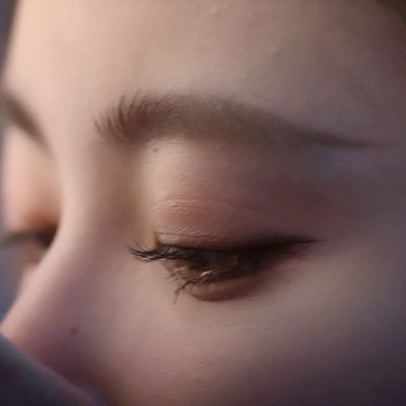 The Blossoming Love (2025)