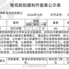 Wo Zai Dong Bei Dang Jing Cha Chinese Drama photo