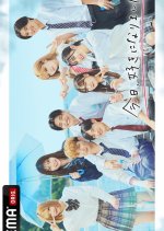 I Fell in Love Today Season 45 Japanese TV Program photo