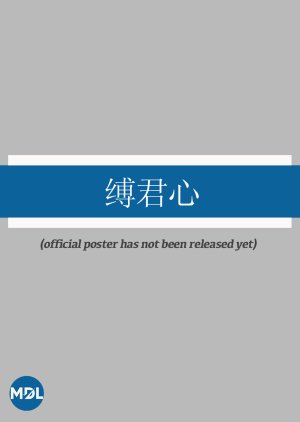 Fu Jun Xin (0000) poster