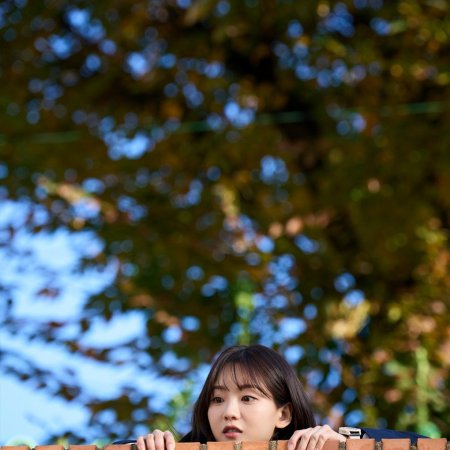 Head over Heels (2025)