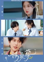 You Sang Li Chinese Drama(2025) photo