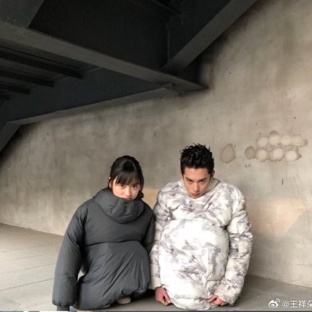 Meteor Garden (2018)