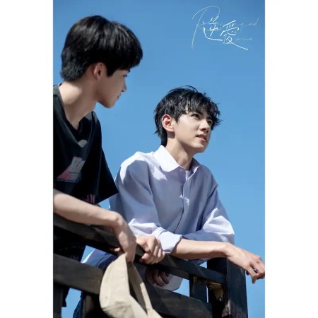 Revenged Love (2025)