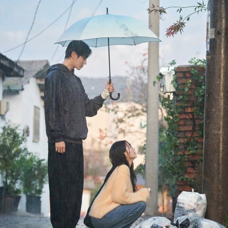 Head over Heels (2025)
