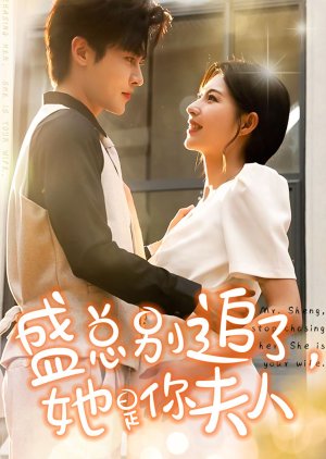 Mr. Sheng, Stop Chasing Her. She Is Your Wife (2024) poster