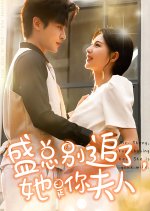 Mr. Sheng, Stop Chasing Her. She Is Your Wife Chinese Drama(2024) photo