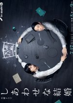 Their Marriage Japanese Drama photo