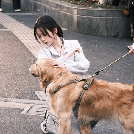 Speed and Love (2025)