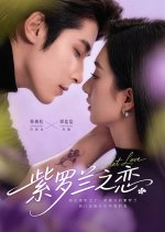 Violet Love Chinese Drama(2026) photo