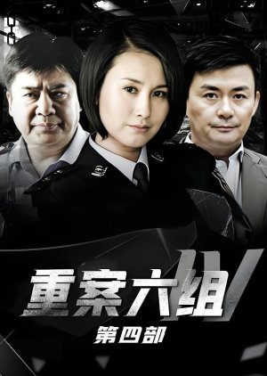 The VI Group of Fatal Case Season 4 (2011) poster
