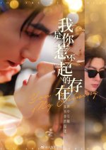 You Are My Shining Chinese Drama photo