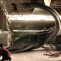 Real Japanese Movie photo