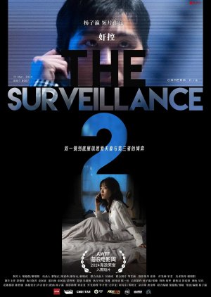 All This Surveillance 2 poster