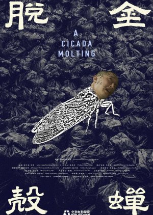 A Cicada Molting (2024) poster