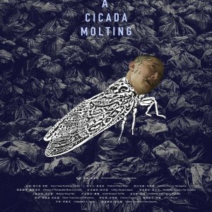A Cicada Molting (2024)