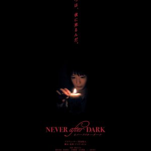 Never after Dark (2026)