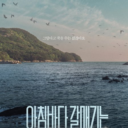 The Land of Morning Calm (2024)