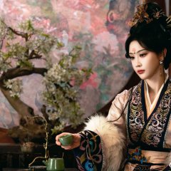 Zhao Yang Gong Zhu Chinese Drama(0000) photo