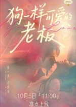 Your Love Chinese Drama(2025) photo