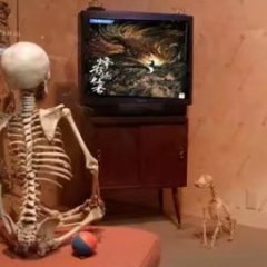 Hidden Shadow Chinese Drama photo