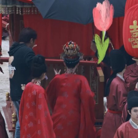 The Road to Splendor ()