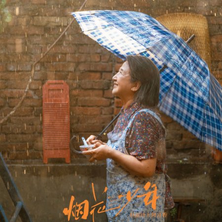 Our Dazzling Days ()