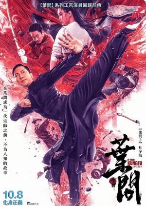 Ip Man: Kung Fu Master poster