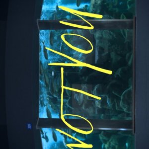 NOT YOU (2025)