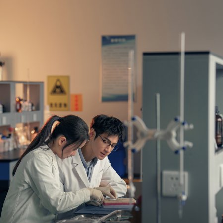 The Truth Within (2025)