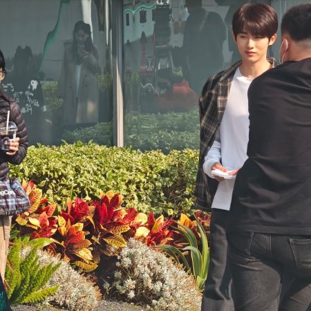 Sunshine through the Rain ()