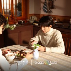 Bittersweet Love Chinese Drama(2026) photo