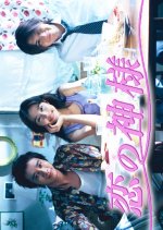 Koi no Kamisama Japanese Drama photo