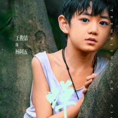 The Trembling of Cicada Chinese Drama(2026) photo
