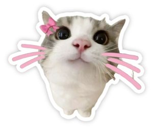 Meow