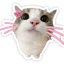Meow