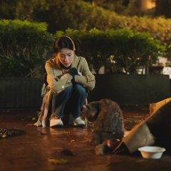 Happily Ever After Taiwanese Movie(2026) photo