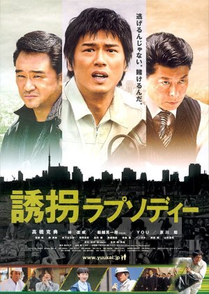 Accidental Kidnapper (2010) poster