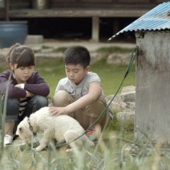 Drama Special Season 5: Bomi's Room Korean Drama photo