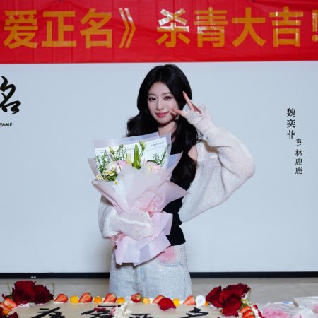 Stand up for Love (2026)
